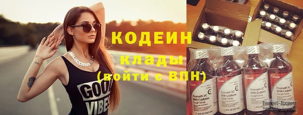 соль ск Няндома