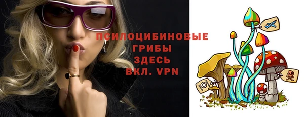 соль ск Няндома