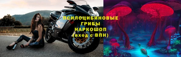 соль ск Няндома
