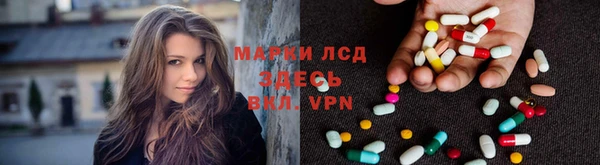 трава Новозыбков