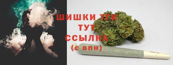 соль ск Няндома