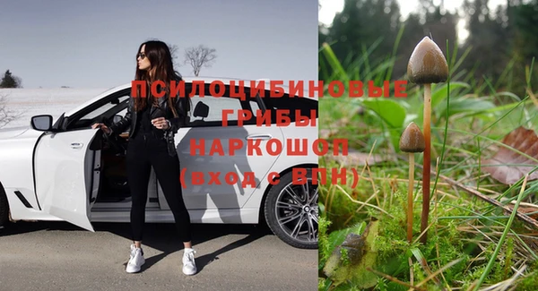 не бодяженный Болхов