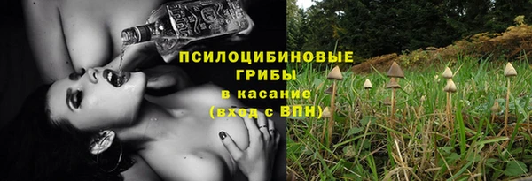 соль ск Няндома