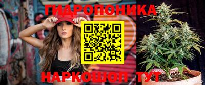 дмт Берёзовский