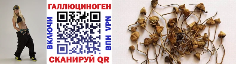 Галлюциногенные грибы GOLDEN TEACHER  наркотики  Богданович 