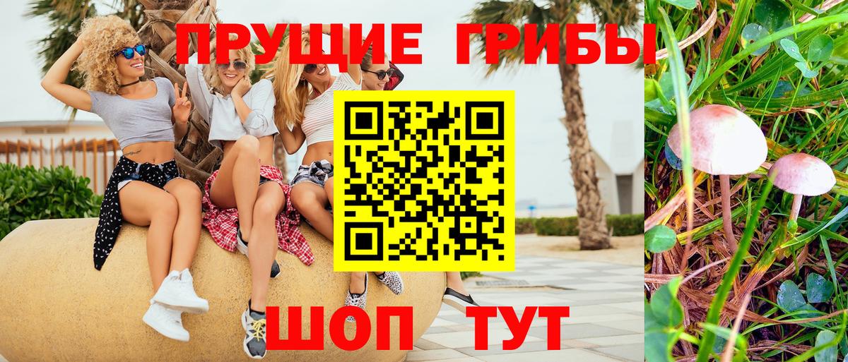 Галлюциногенные грибы Magic Shrooms  Вход с VPN  Богданович 