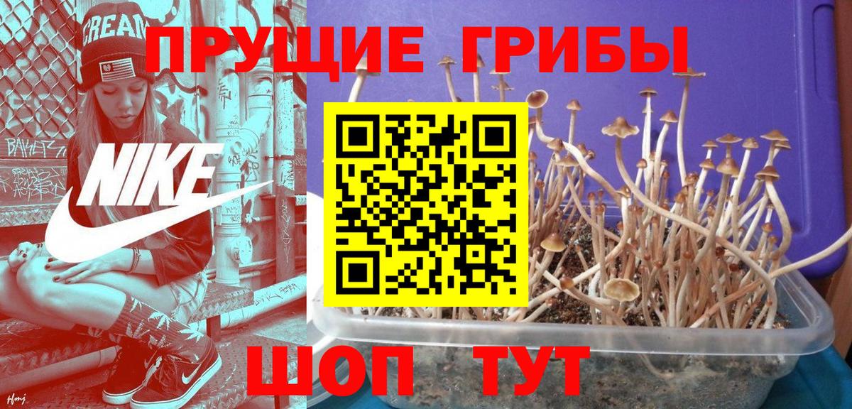 Галлюциногенные грибы мухоморы Богданович