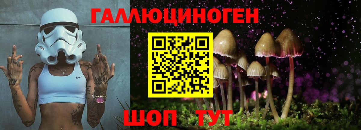 Галлюциногенные грибы Magic Shrooms Богданович