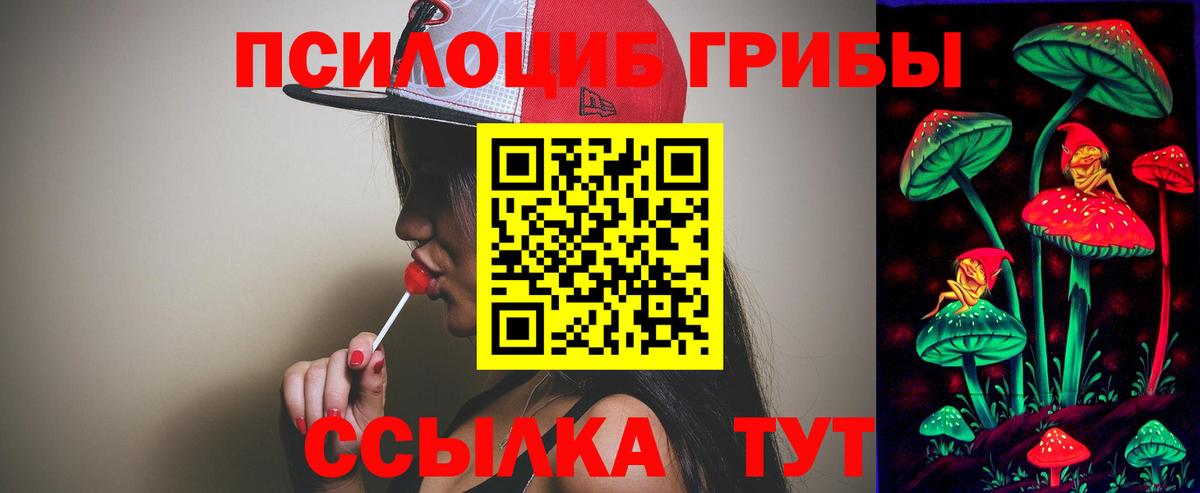 Галлюциногенные грибы мухоморы  Богданович 