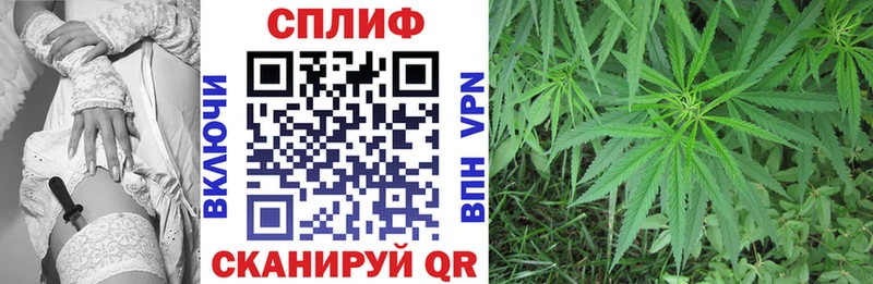 Бошки марихуана планчик  Богданович 